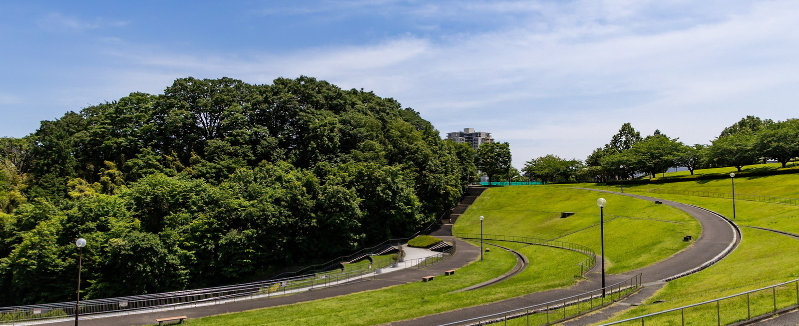 Photo: Summer at "Wakabadai Koen"