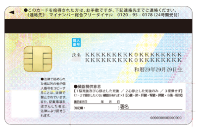 Back Side Image