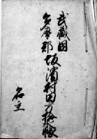Photo: Land Survey Record 3