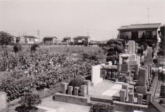 Photo: Koshiko Face on the West Side of Oshitate Joint Cemetery