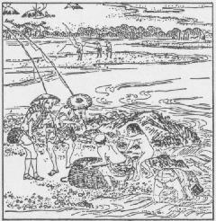 Photo: Scene of Ayu Fishing from Edo Famous Places Illustrated