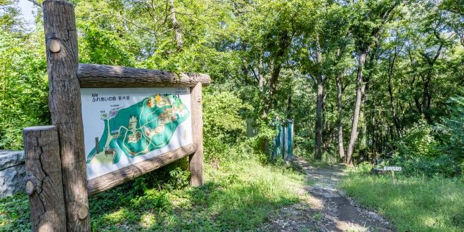 General Access (Inagi Fureai Forest)