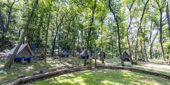 School and District Open Use (Inagi Fureai Forest)