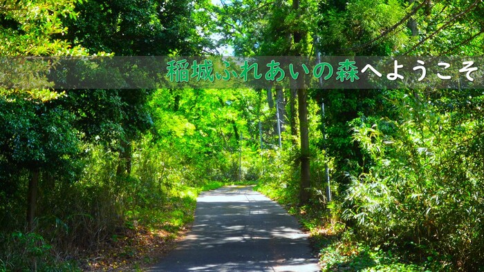 Welcome to Inagi Fureai Forest
