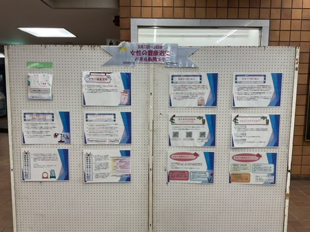 Photo: "Women's Health Week" Panel Exhibition