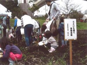 Photo: Scene of Taro Root Harvesting Experience
