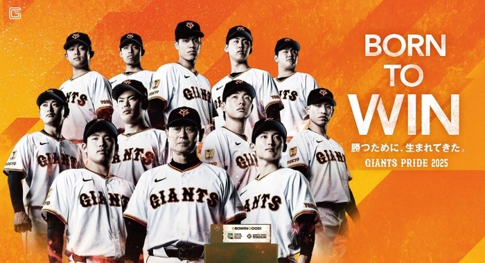 Image: Inagi City Festa Flyer