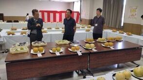 State of the Review Committee