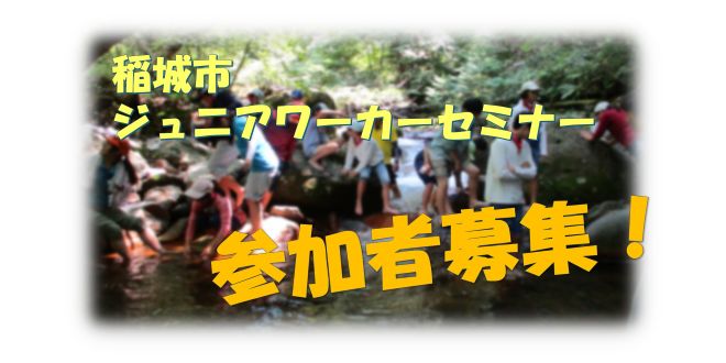 Recruitment for Participants of the Inagi City Junior Worker Seminar