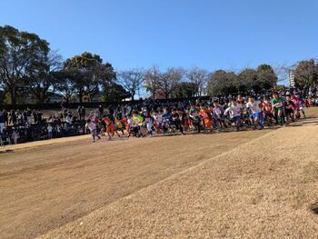 Scenes from the Marathon Event