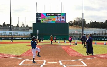 Batter's Box Experience