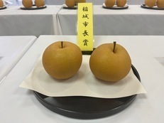 Premio del Alcalde de la Ciudad de Inagi