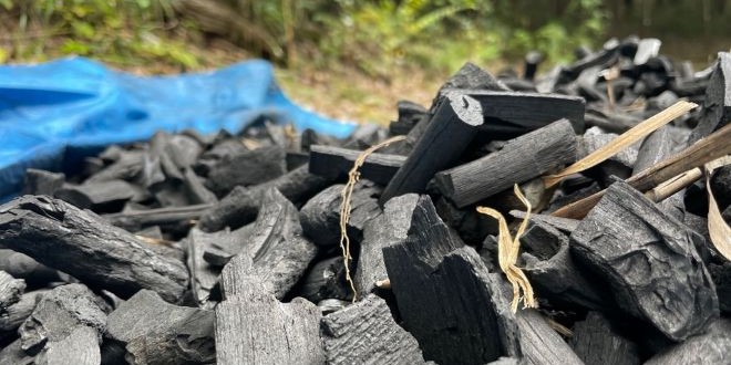 Bosque de Interacción de Inagi Experiencia de Carbonización