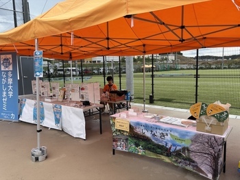 Estado del stand de promoción