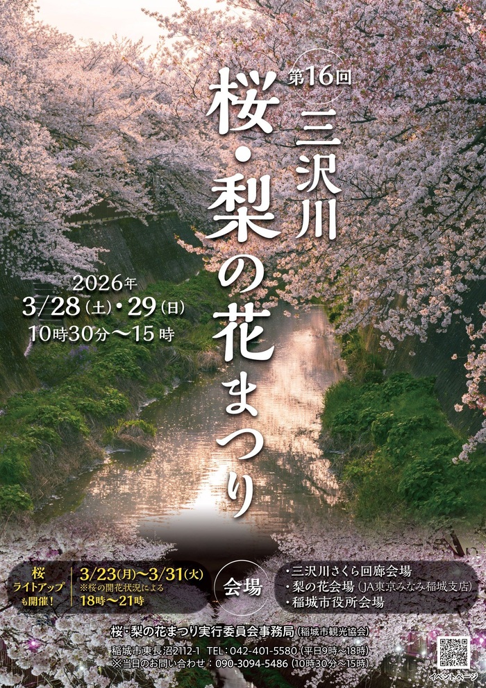 Imágenes de los cerezos en flor del corredor de sakura del Río Misawa