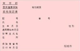 이미지: 자격 확인서