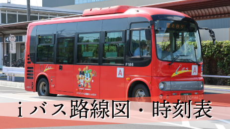 ALT: Foto do iBus