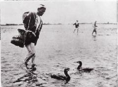 Foto: Pesca com cormorão no Rio Tama