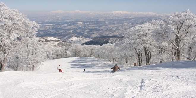 Foto: Montanha de Neve de Nozawa Onsen