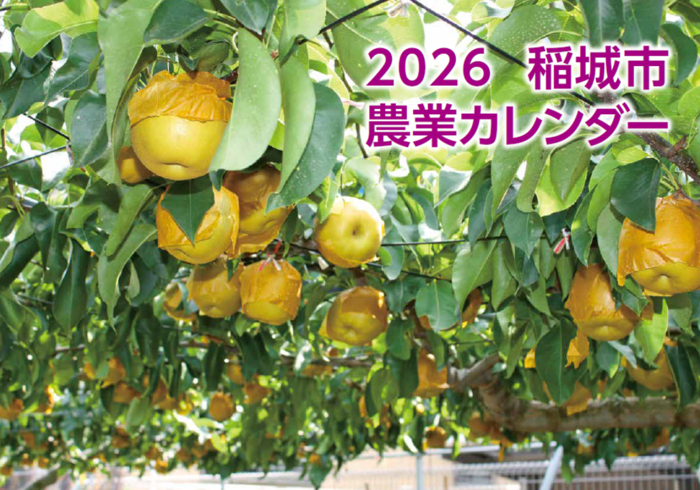 Foto: Capa do Calendário Agrícola