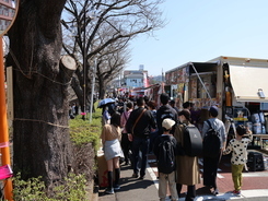Festival Food Truck