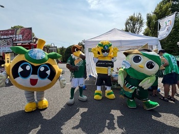 Reunião de mascotes