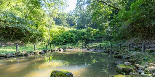 常見問題（稻城交流森林）