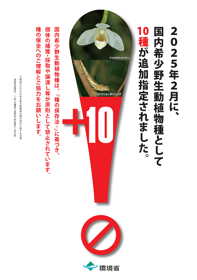 照片：關於國內稀有野生動植物的手冊封面