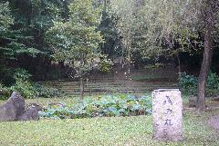 照片:野草園附近