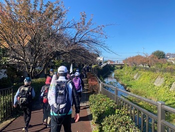 照片:銀髮健行的情況