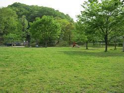 照片:大丸公園1