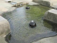 照片:大丸公園4