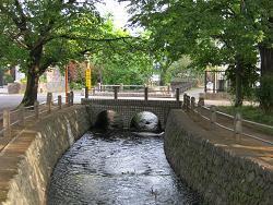 照片:大丸親水公園5