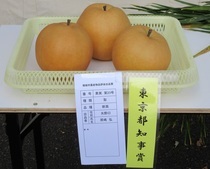 令和6年度 果實部 東京都知事獎