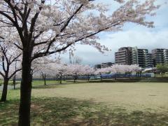 若葉台公園