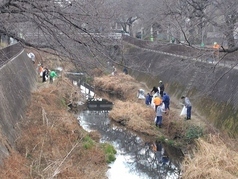 照片：三澤川清掃風景4