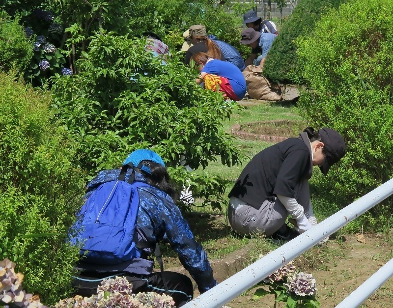 活動情況3